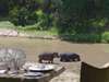 Naibor Luxury Camp - Hippos 